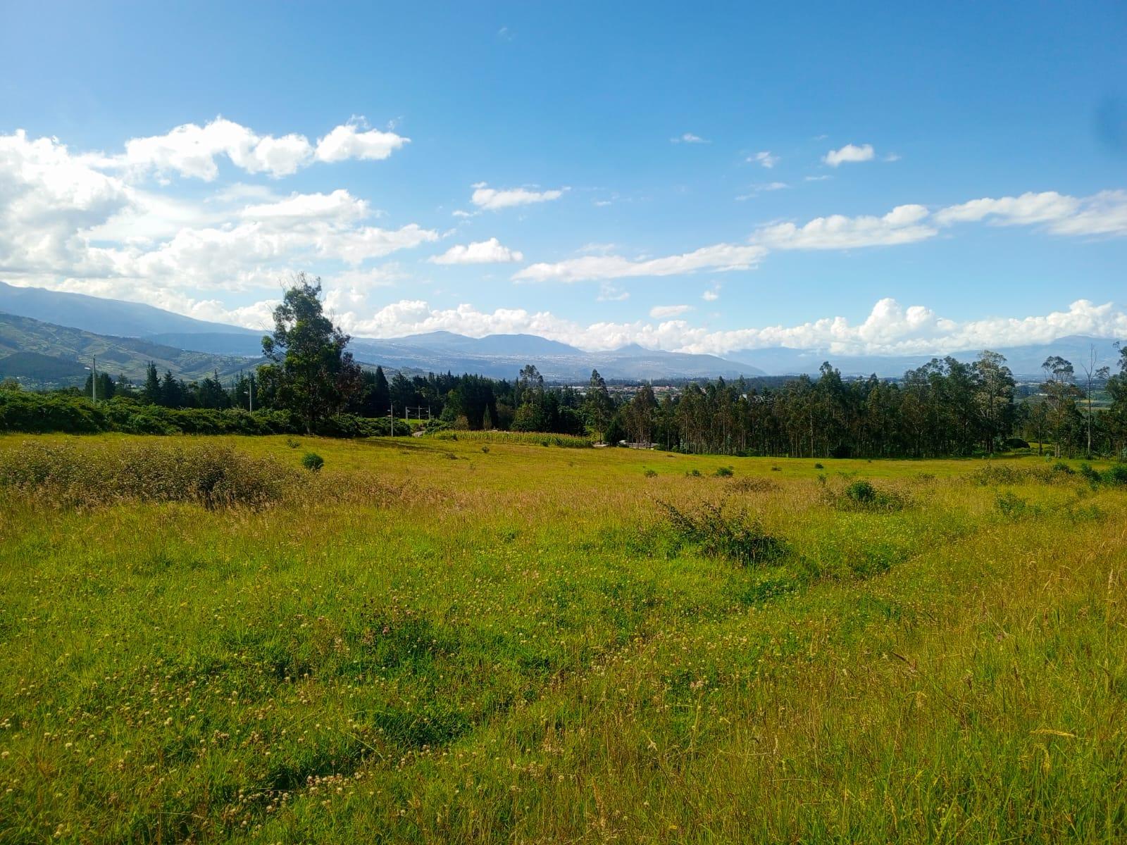 Terreno en venta en Pichincha | Quito | Tumbaco, 98037 98037 Barrio/Sector: INGA ALTO