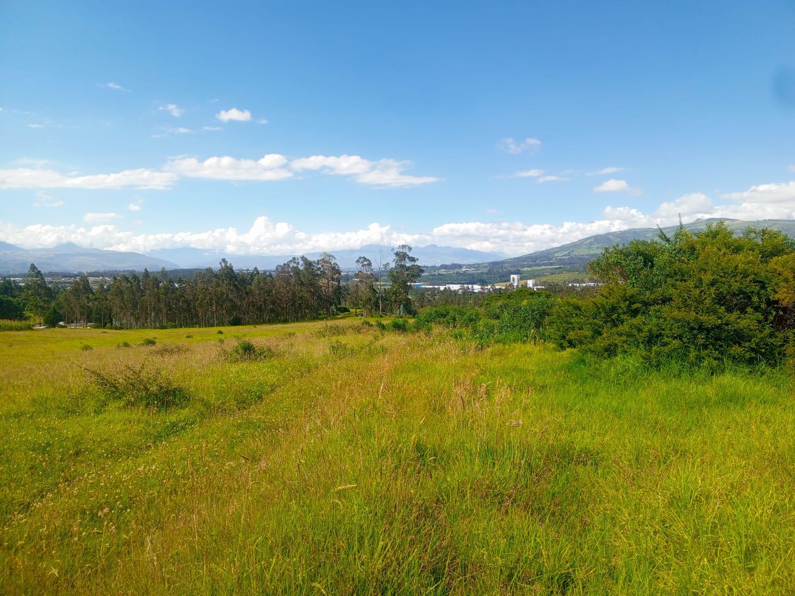 Terreno en venta en Pichincha | Quito | Tumbaco, 98037 98037 Barrio/Sector: INGA ALTO