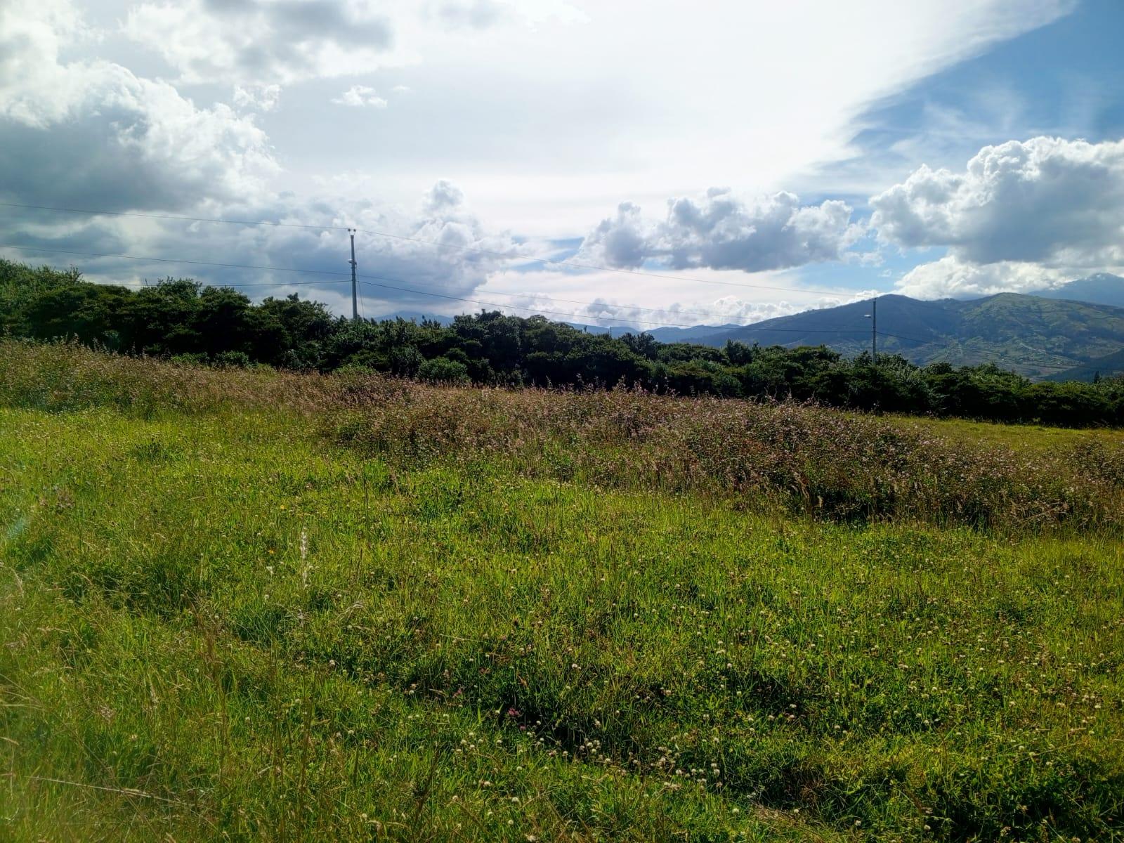 Terreno en venta en Pichincha | Quito | Tumbaco, 98037 98037 Barrio/Sector: INGA ALTO