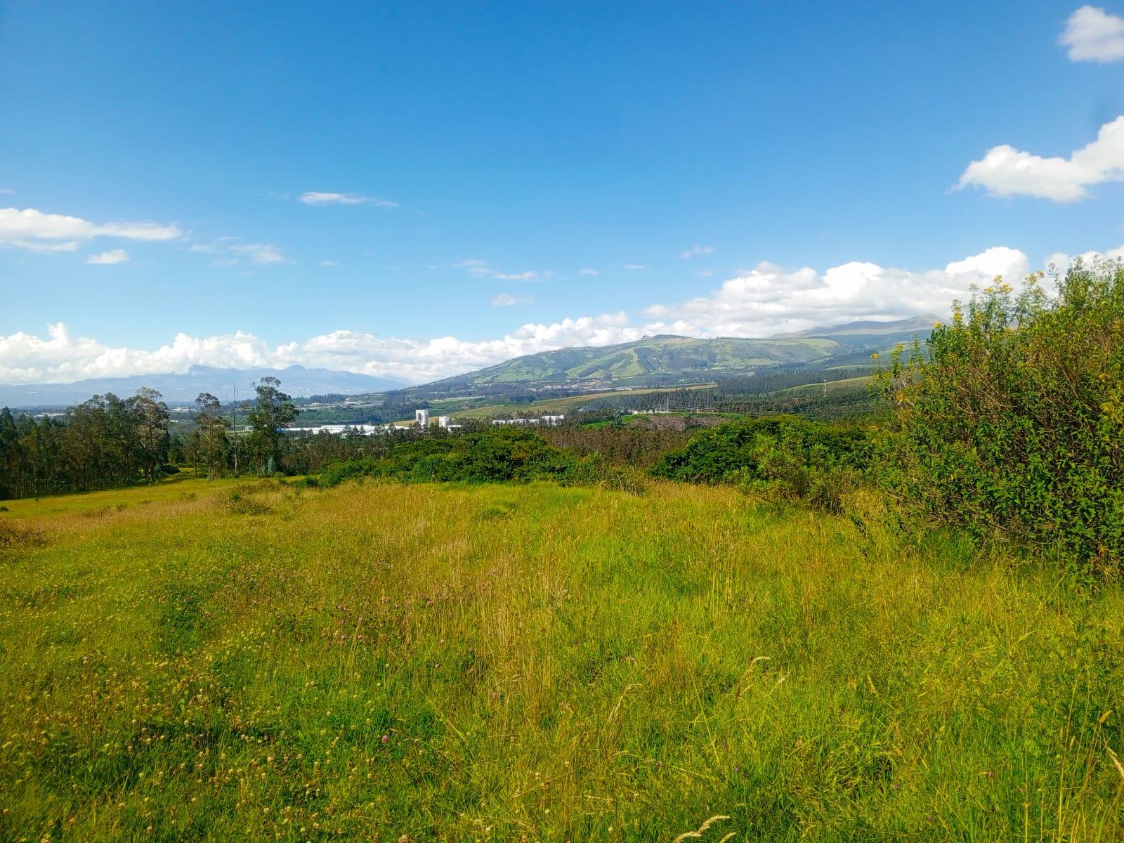 Terreno en venta en Pichincha | Quito | Tumbaco, 98037 98037 Barrio/Sector: INGA ALTO