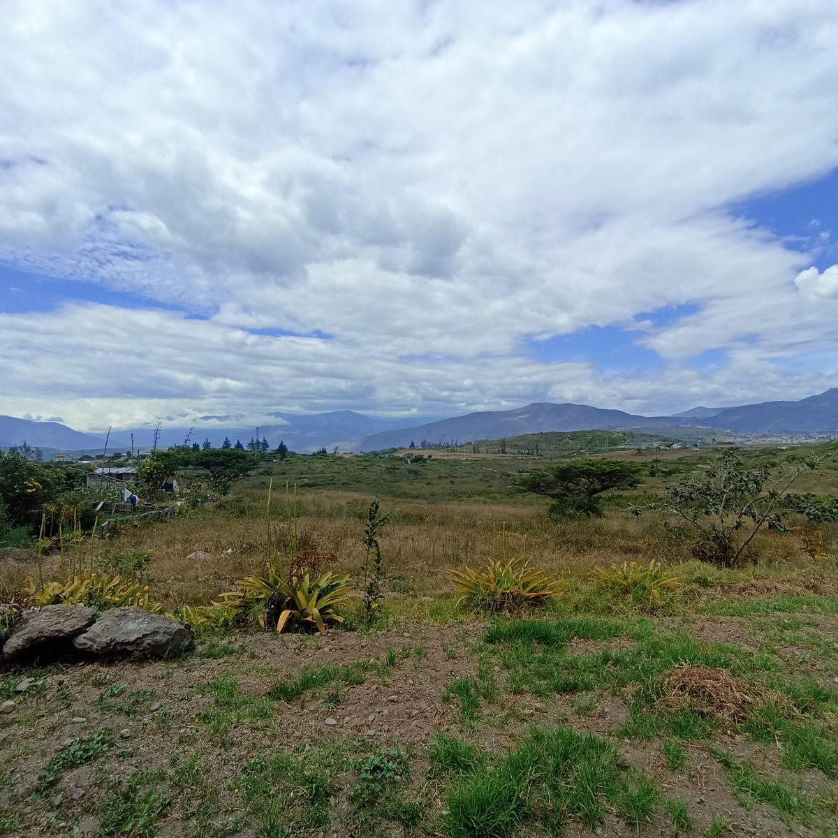 Land for Sale in Chaltura