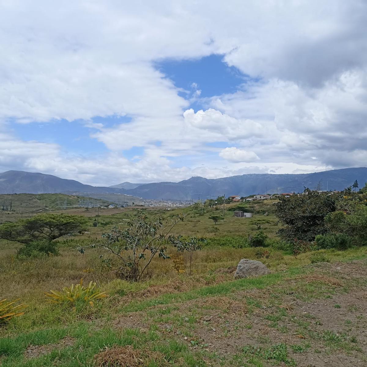 Land for Sale in Chaltura 2