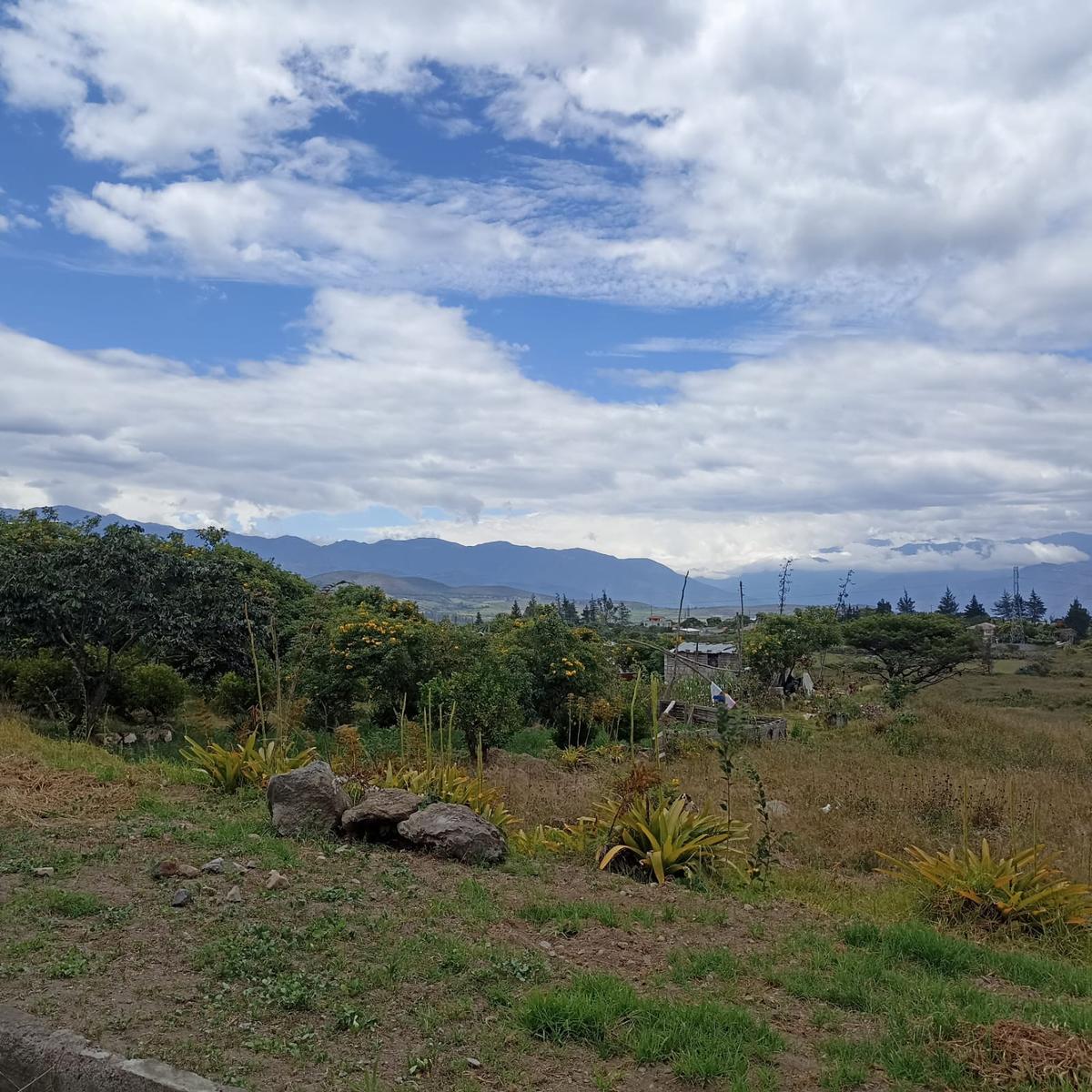 Terreno en venta en Imbabura | Antonio Ante | Chaltura, TERRENO DE 2 HECTARIAS PARA PROYECTO INMOBILIARIO O AGRICOLA EN CHALTURA IBABURA