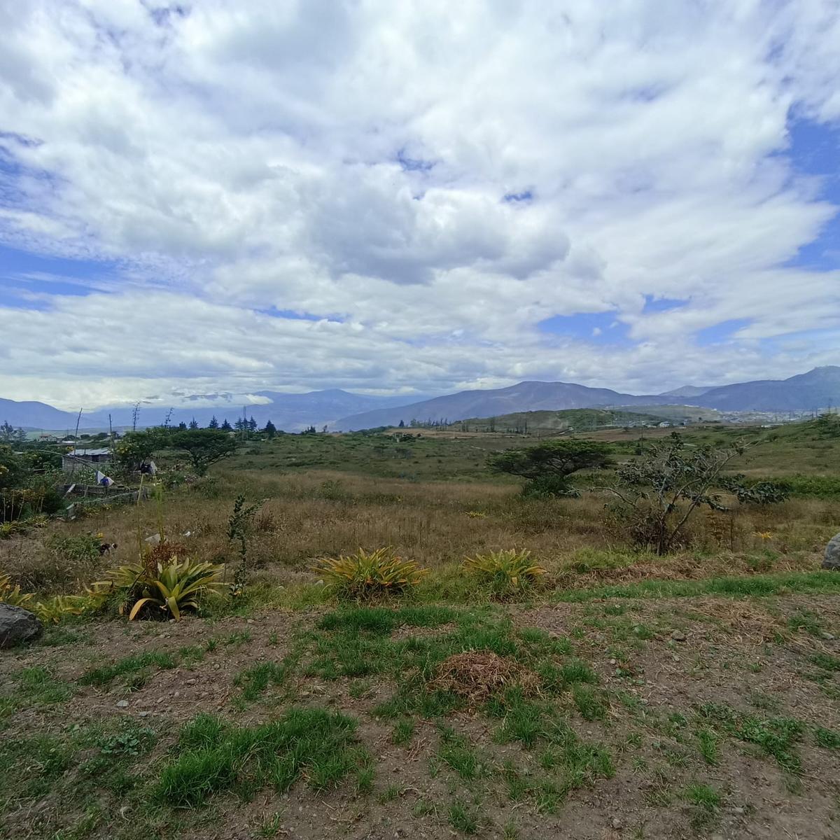Land for Sale in Chaltura 4