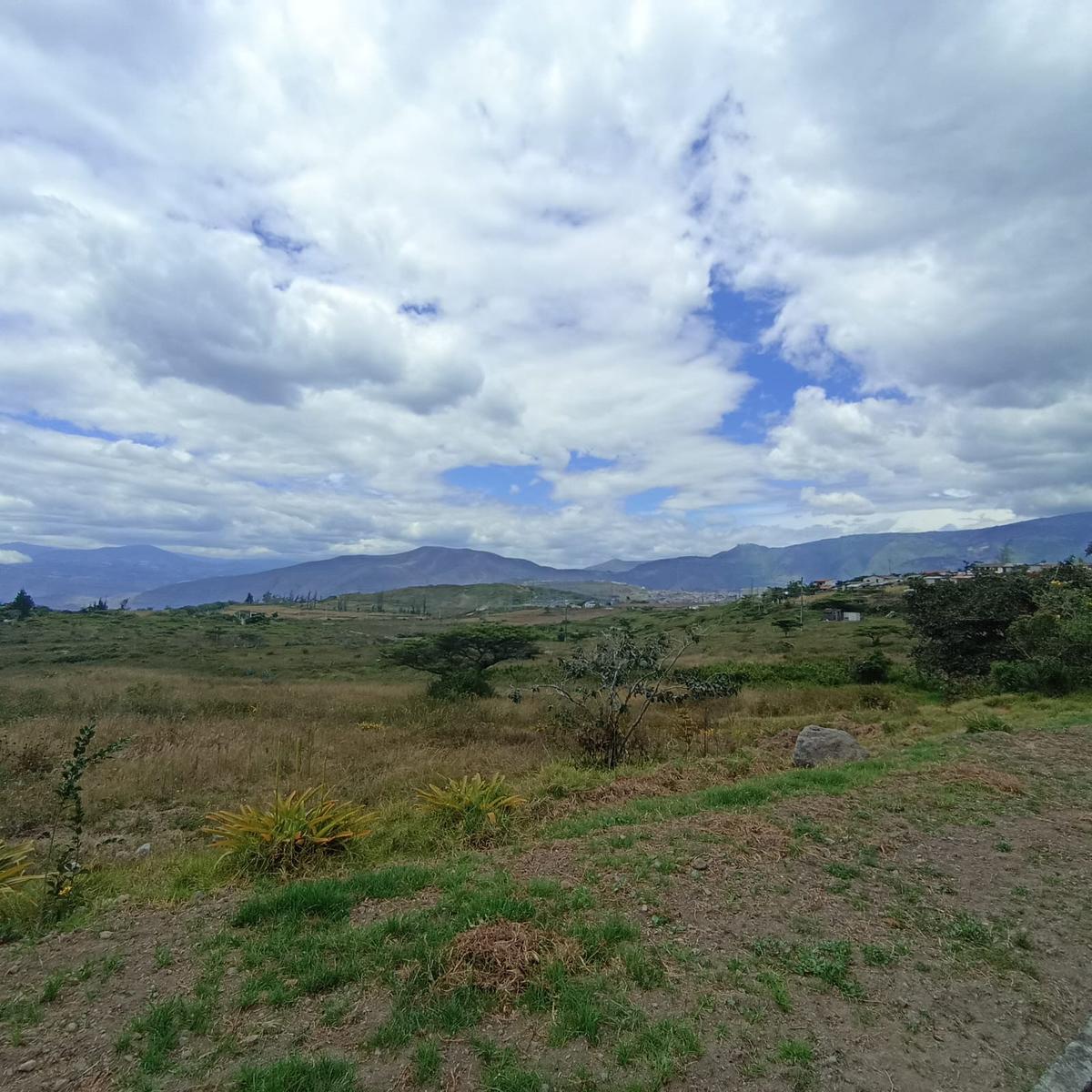 Land for Sale in Chaltura 3