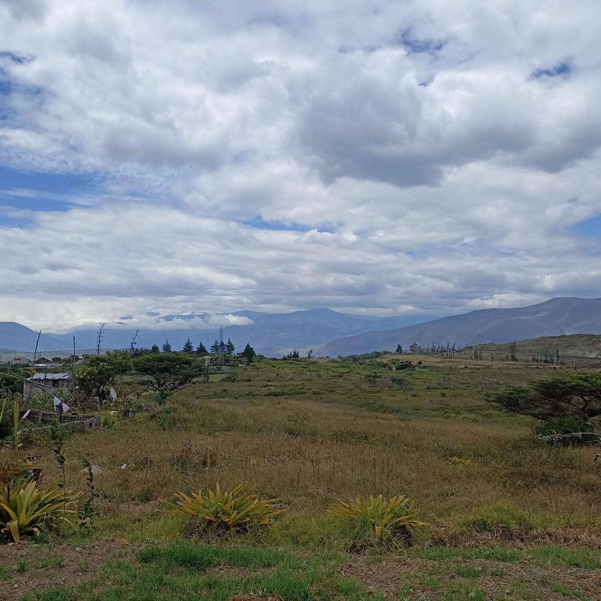 Land for Sale in Chaltura 5