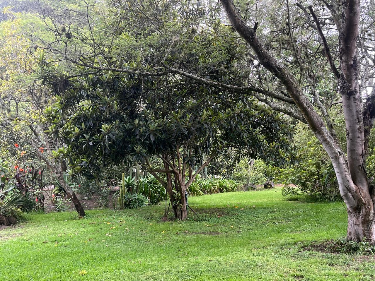 Terreno en venta en Pichincha | Quito | Guayllabamba, Guayllabamba-Santa Mónica