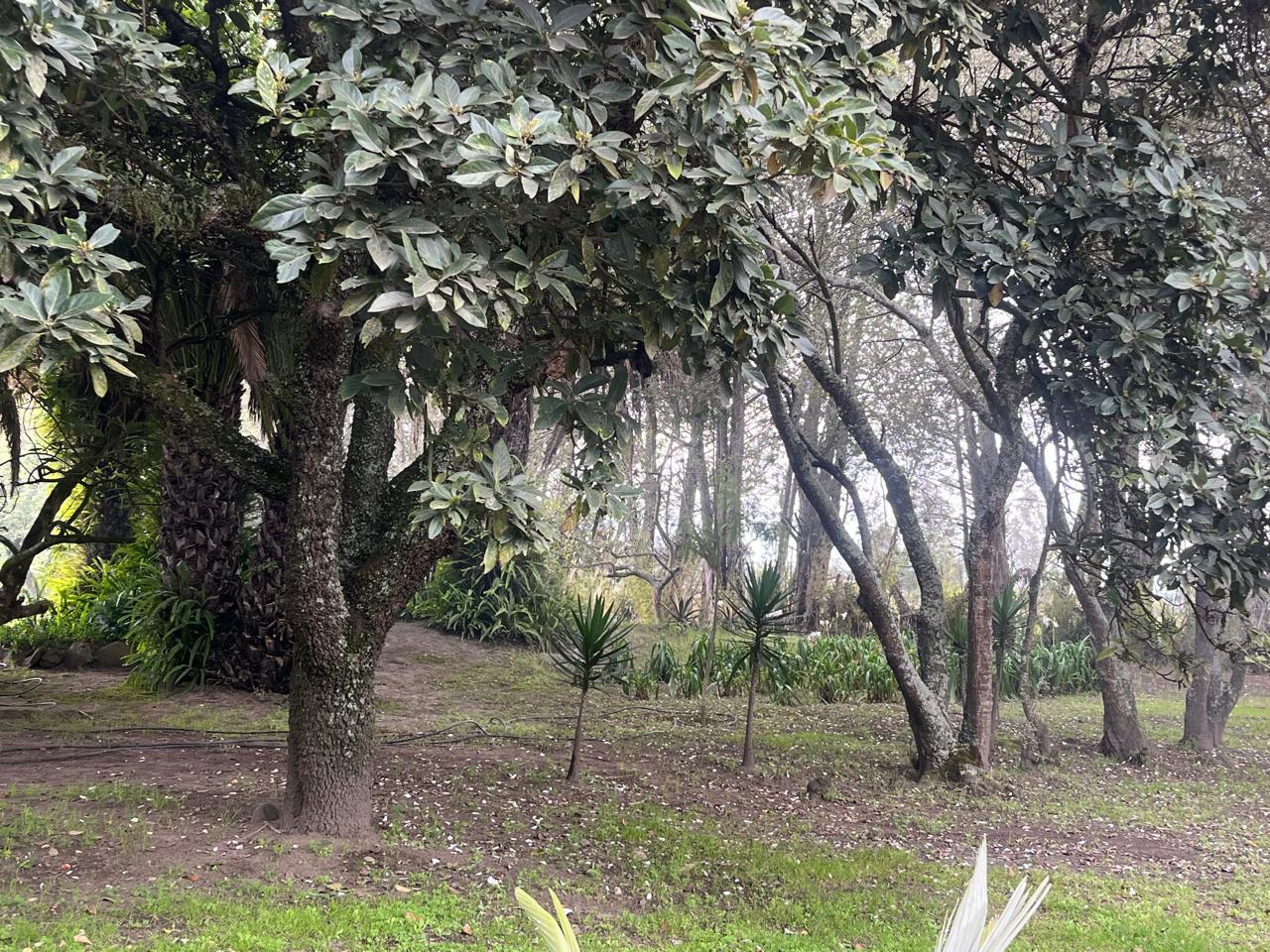 Terreno en venta en Pichincha | Quito | Guayllabamba, Guayllabamba-Santa Mónica