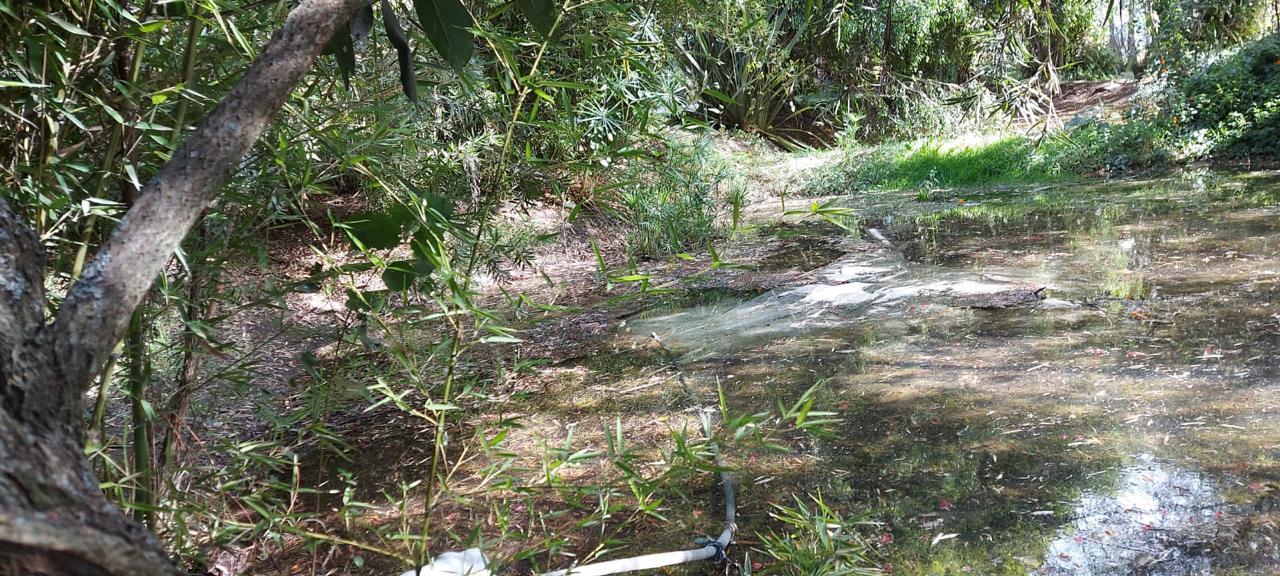 Terreno en venta en Pichincha | Quito | Guayllabamba, Guayllabamba-Santa Mónica