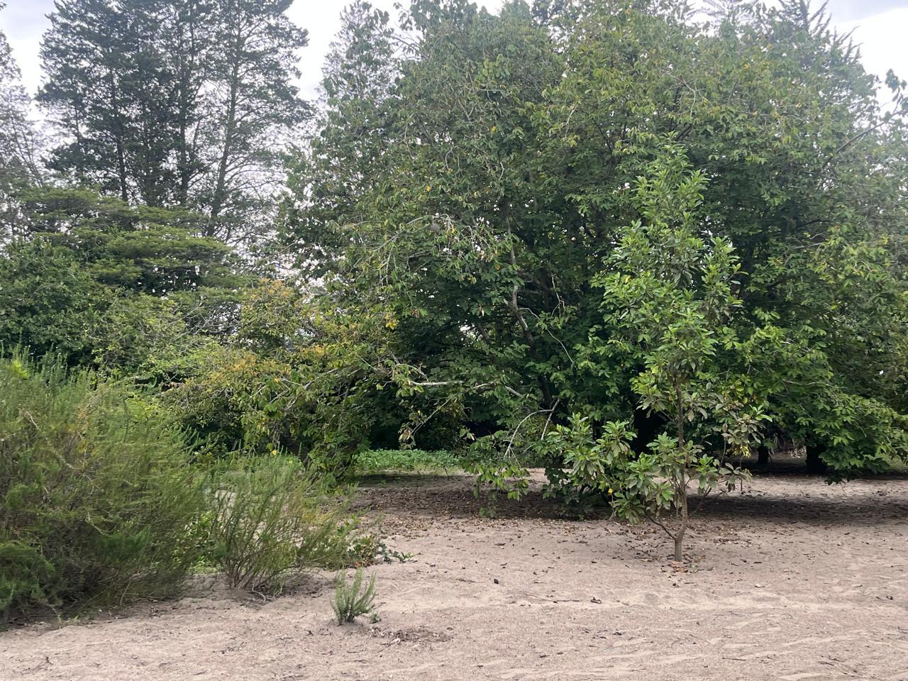 Terreno en venta en Pichincha | Quito | Guayllabamba, Guayllabamba-Santa Mónica