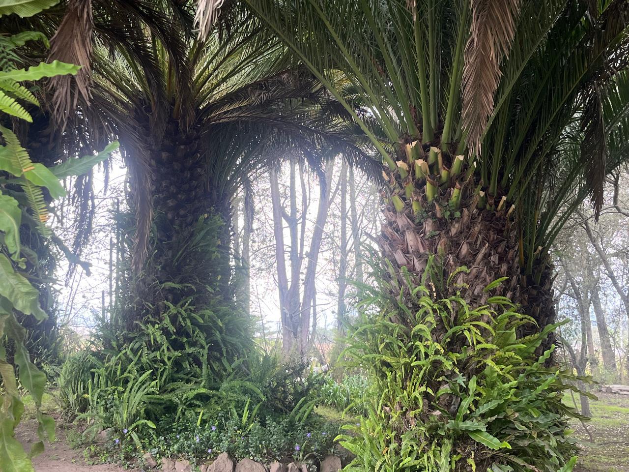 Terreno en venta en Pichincha | Quito | Guayllabamba, Guayllabamba-Santa Mónica