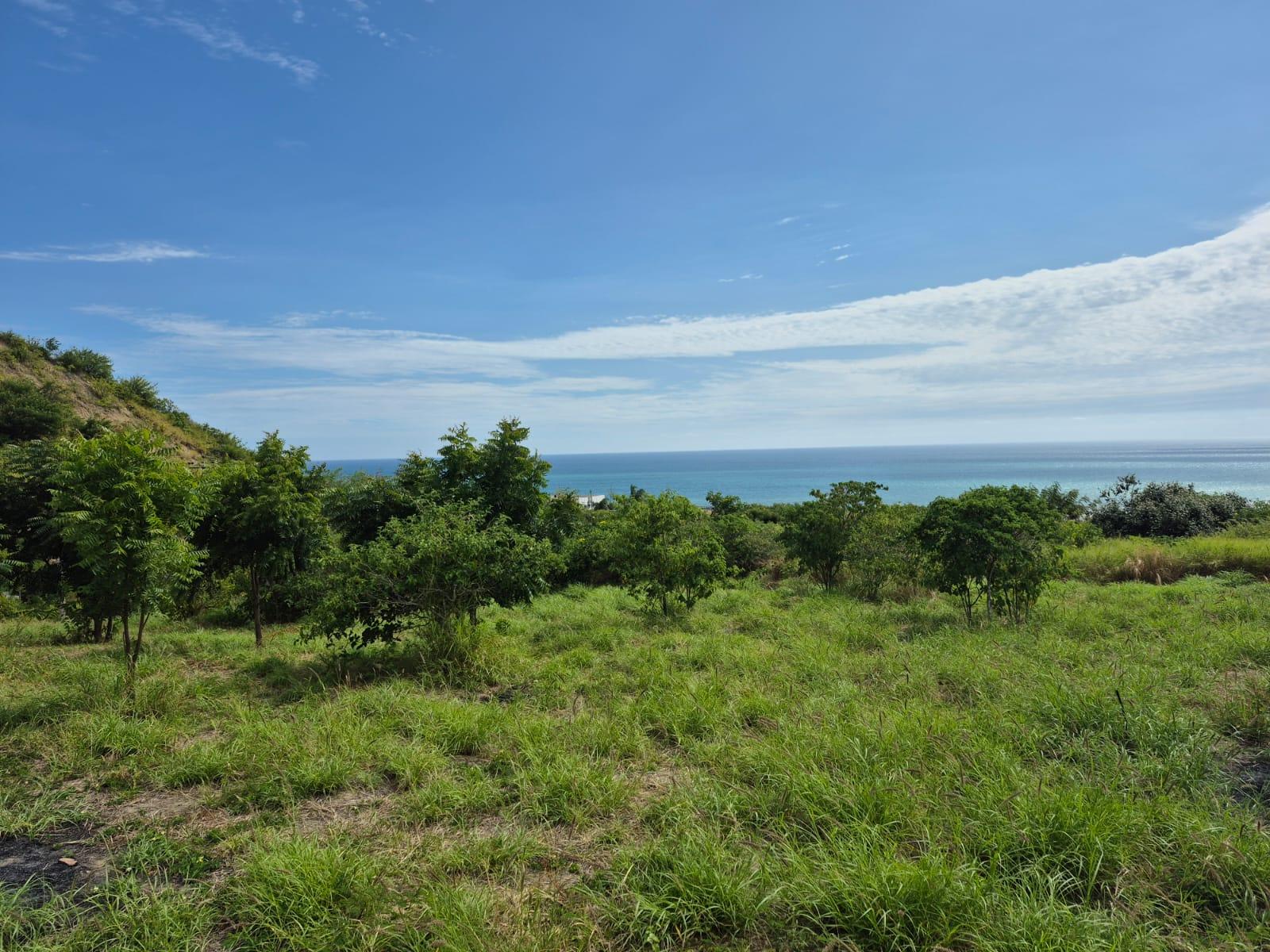 Terreno en venta en Manabí | Manta | San Lorenzo, Via San Lorenzo