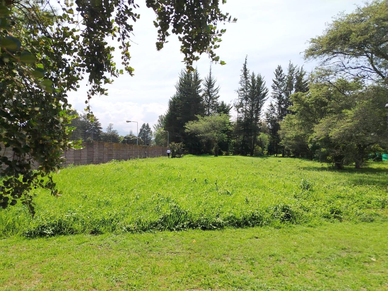 Terreno en venta en Pichincha | Quito | Puembo, Terreno de venta en Puembo. Exclusivo. Arrayanes