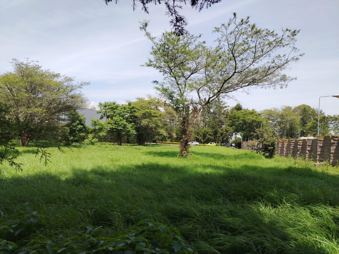 Terreno en venta en Pichincha | Quito | Puembo, Terreno de venta en Puembo. Exclusivo. Arrayanes