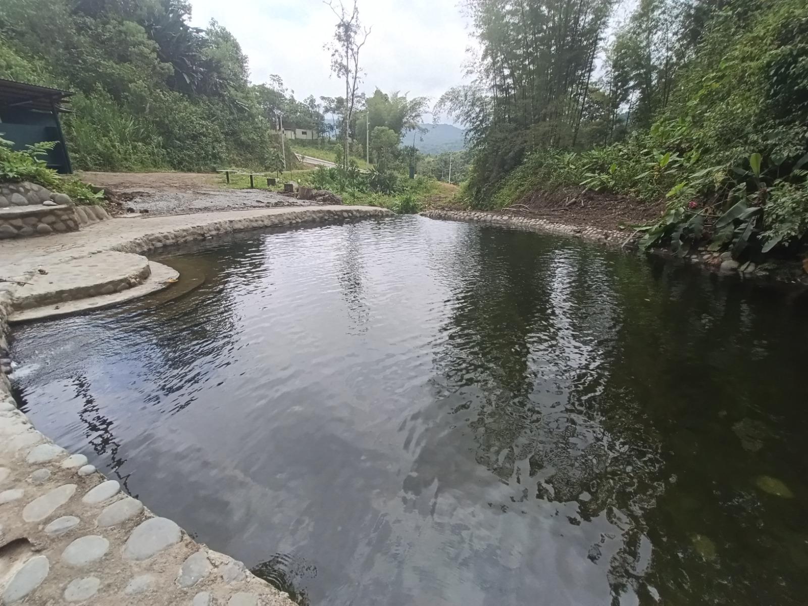Terreno en venta en Pichincha | Mindo | Centro de Mindo, MINDO / VIA AL MARIPOSARIO ' CERCA AL PUEBLO DE MINDO