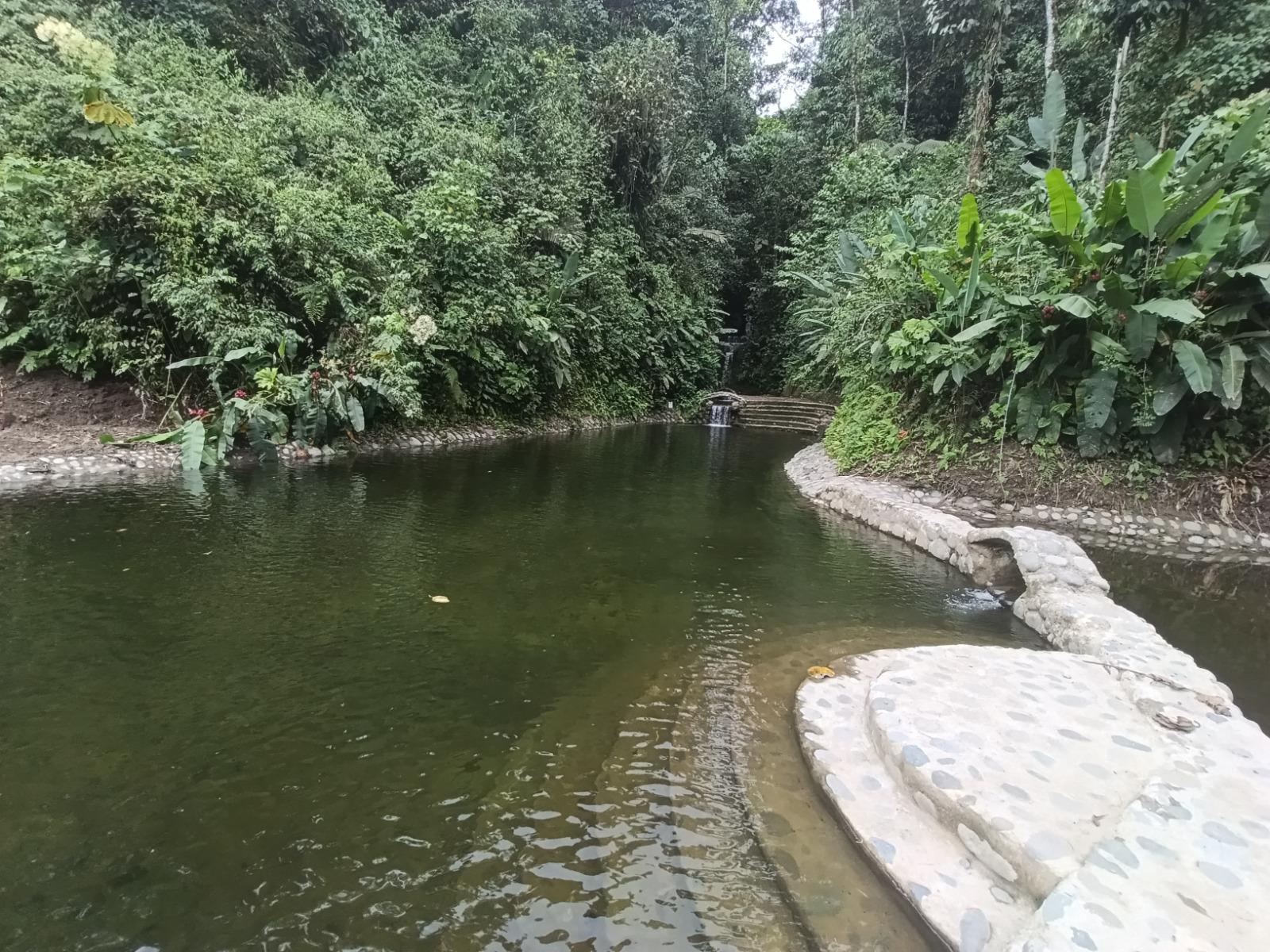 Land/Plot for sale in Pichincha | Mindo | Centro de Mindo, MINDO / VIA AL MARIPOSARIO ' CERCA AL PUEBLO DE MINDO