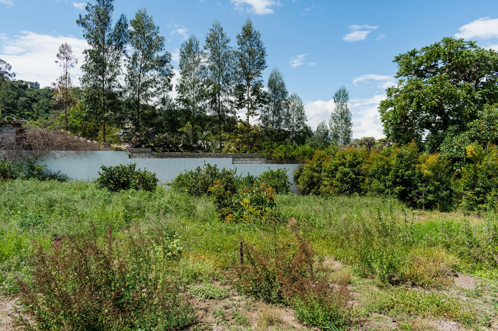 Land for Sale in Guayllabamba 5