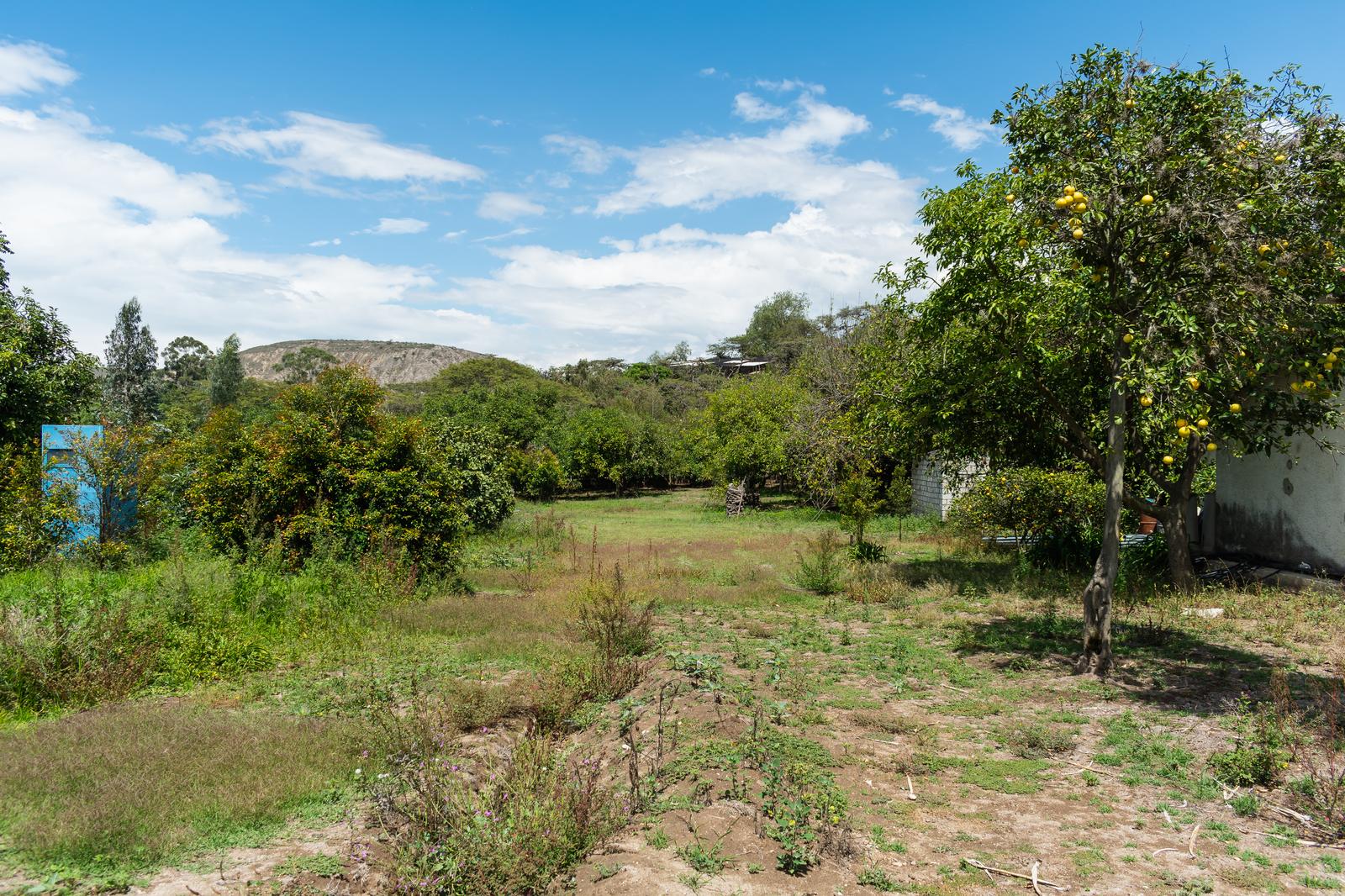 Land for Sale in Guayllabamba 4
