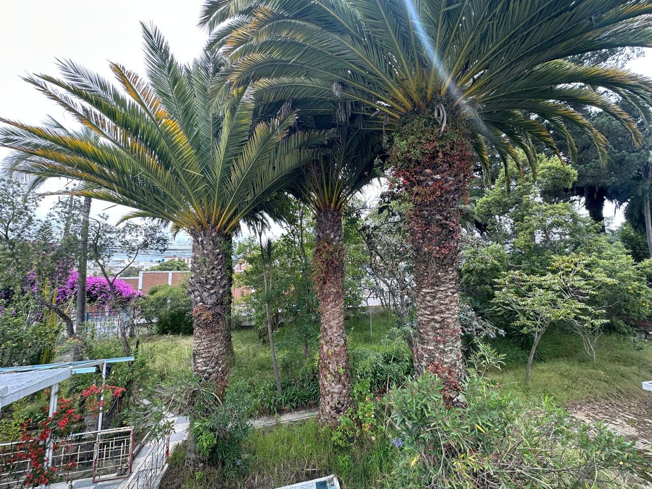 Terreno en venta en Pichincha | Quito | Calderón, Venta Terreno Calderón Bonanza 8.815,92m2