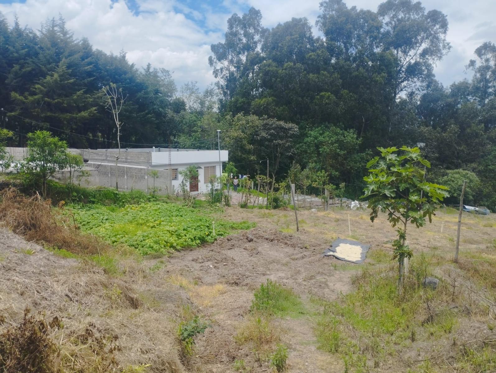 Terreno en venta en Pichincha | Quito | Los Chillos, Alangasi,Gaspar de villarroel y Av.Ilalo valle de los Chillos