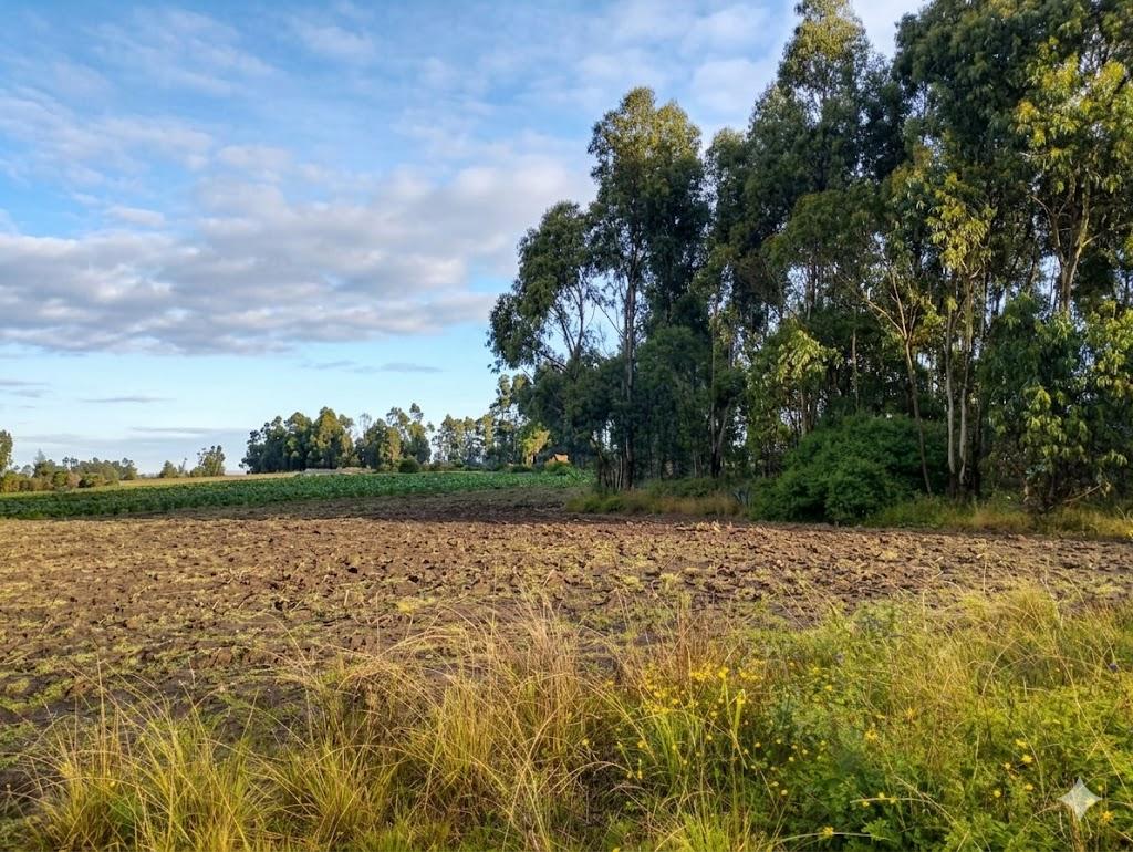 Terreno en venta en Pichincha | Pedro Moncayo | Malchinguí, MALCHINGUI TERRENO EN VENTA 7862 M2