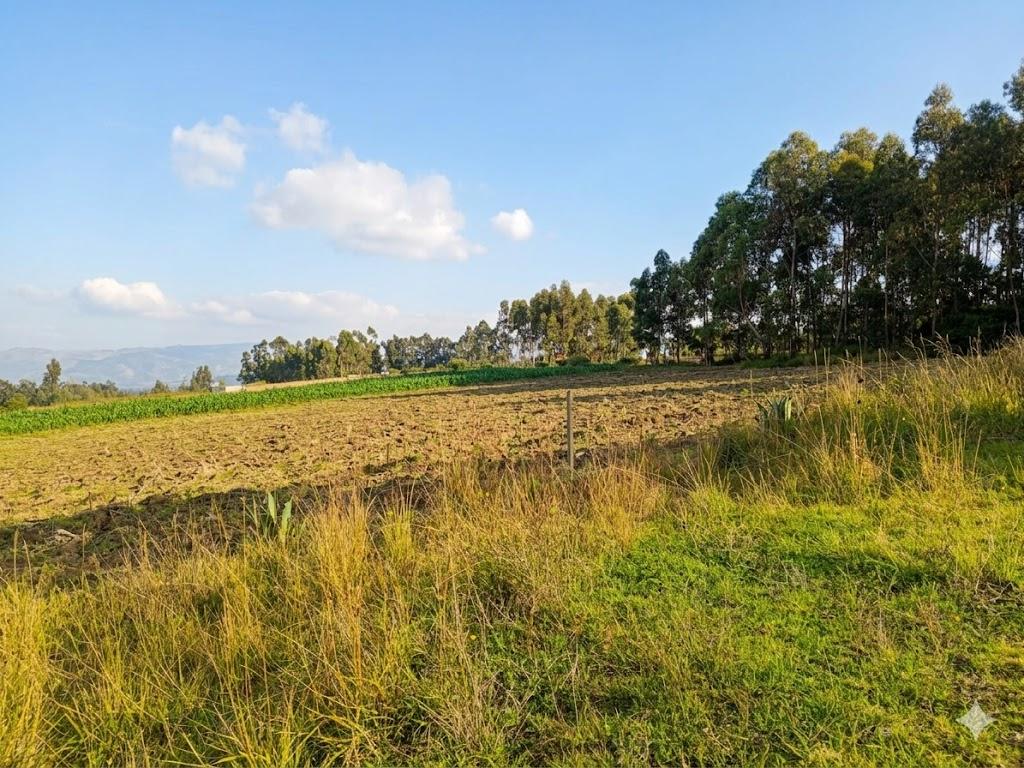 Terreno en venta en Pichincha | Pedro Moncayo | Malchinguí, MALCHINGUI TERRENO EN VENTA 7862 M2