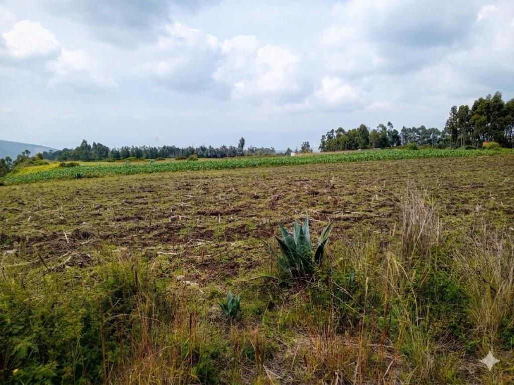 Terreno en venta en Pichincha | Pedro Moncayo | Malchinguí, MALCHINGUI TERRENO EN VENTA 7862 M2