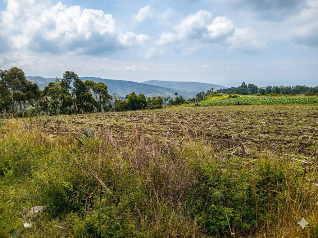 Terreno en venta en Pichincha | Pedro Moncayo | Malchinguí, MALCHINGUI TERRENO EN VENTA 7862 M2