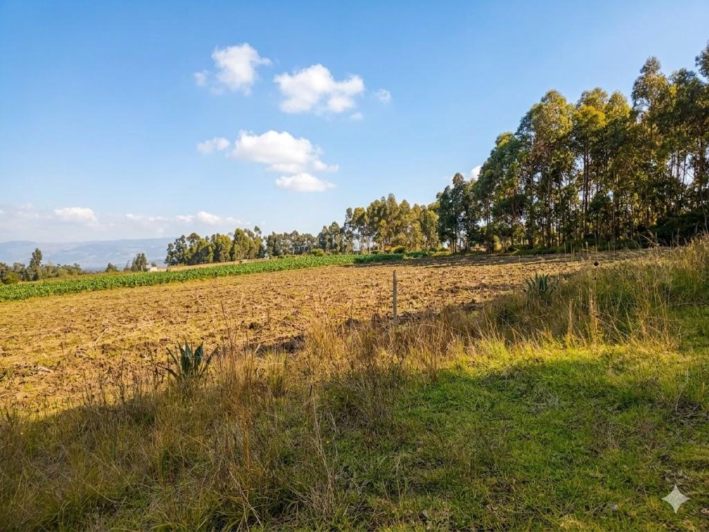 Terreno en venta en Pichincha | Pedro Moncayo | Malchinguí, MALCHINGUI TERRENO EN VENTA 7862 M2