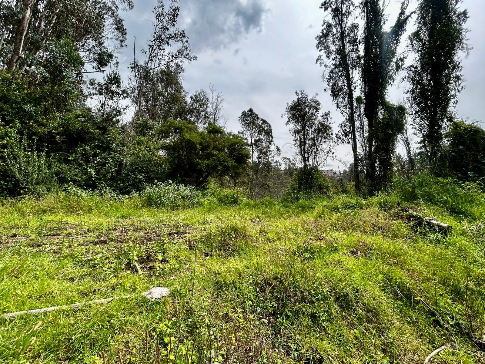 Land in Los Chillos 4