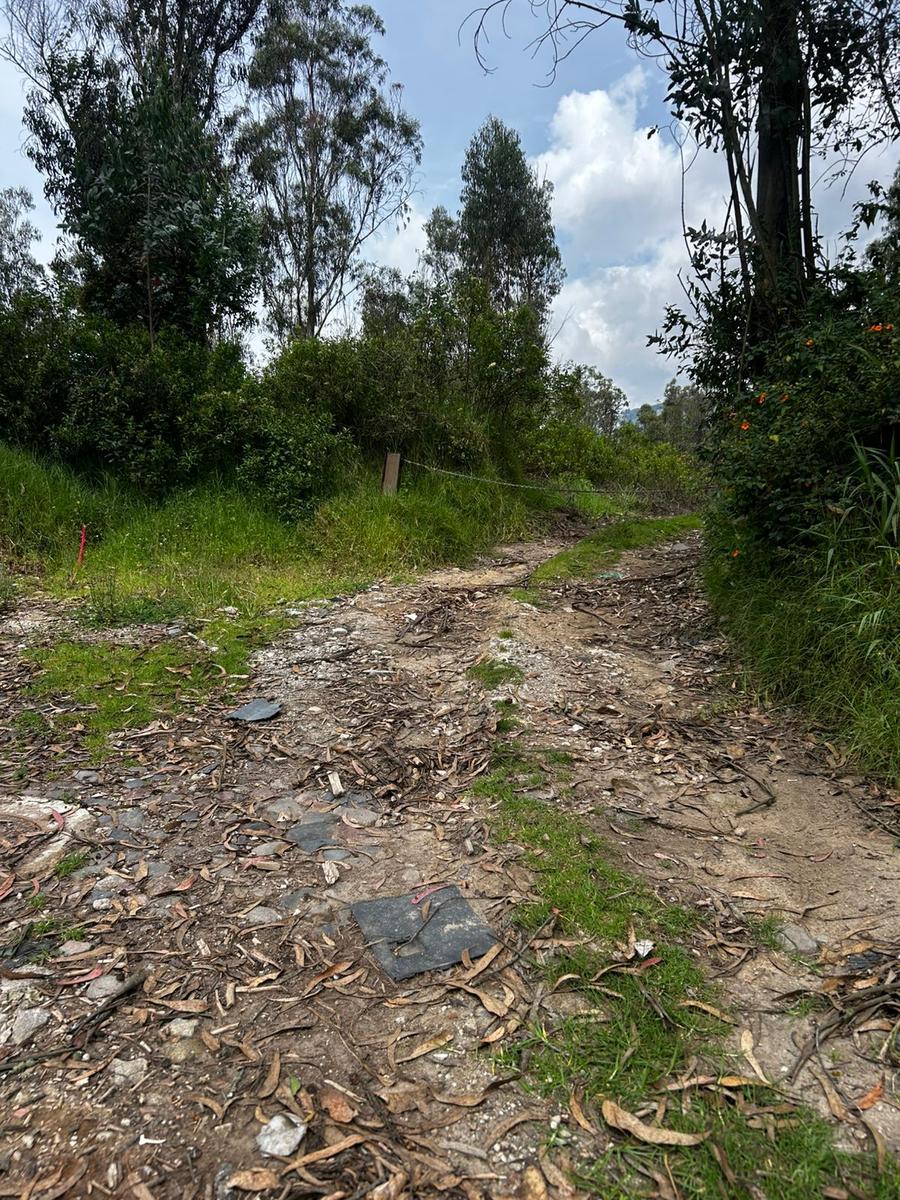 Land in Los Chillos 5