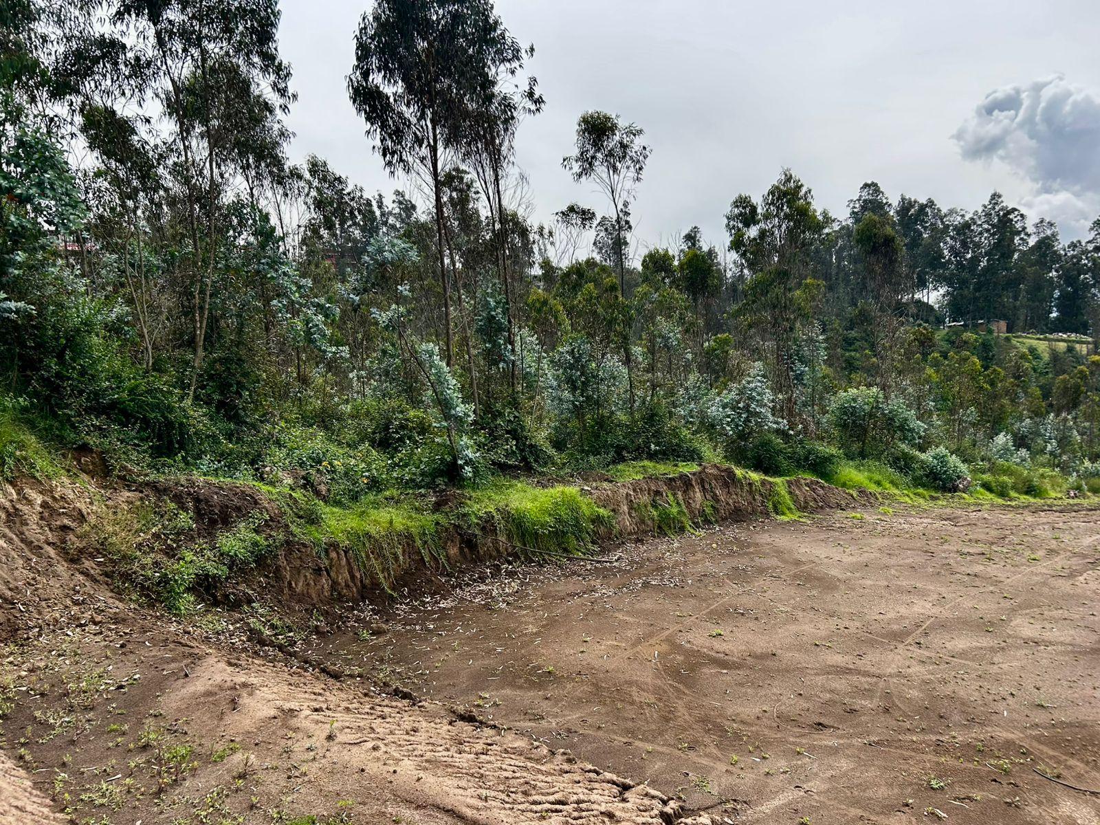 Land in Los Chillos