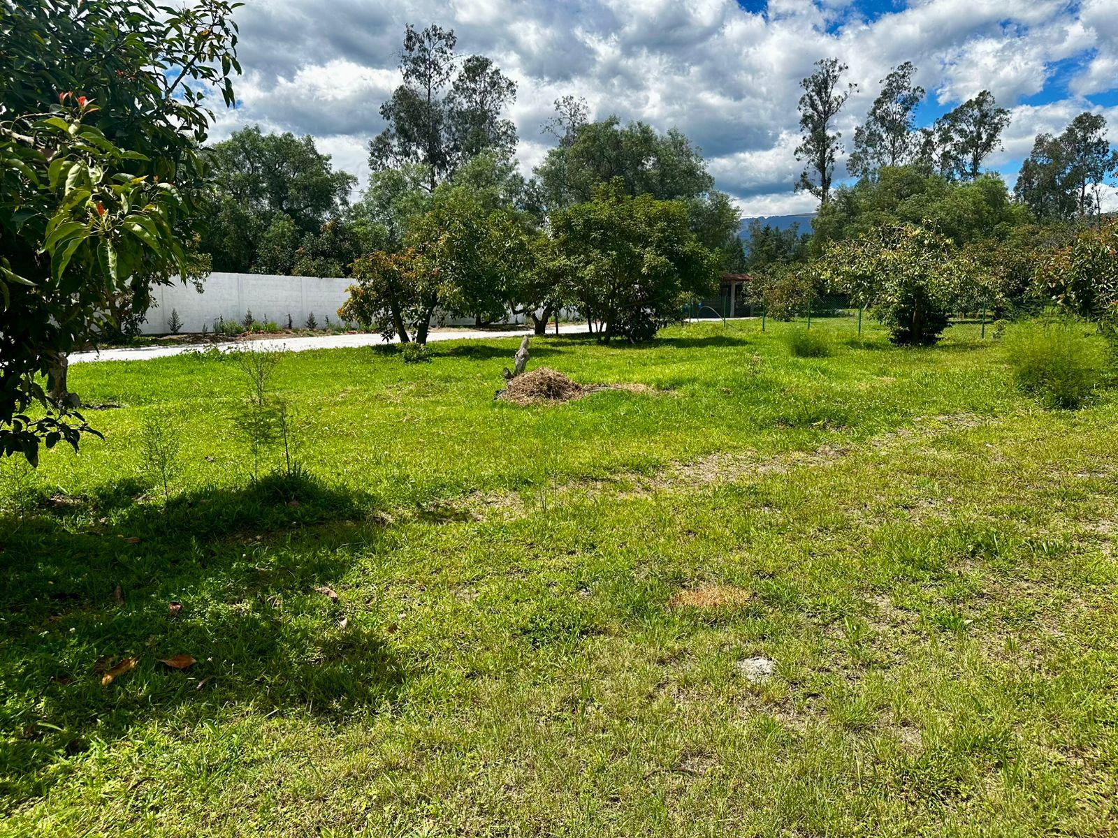 Terreno en venta en Ecuador | Pichincha | Quito, Urcensio Lucas Baquer