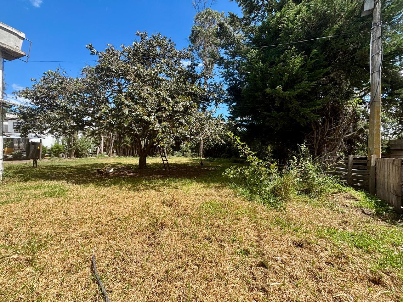 FLAT LAND FOR SALE IN TUMBACO 5