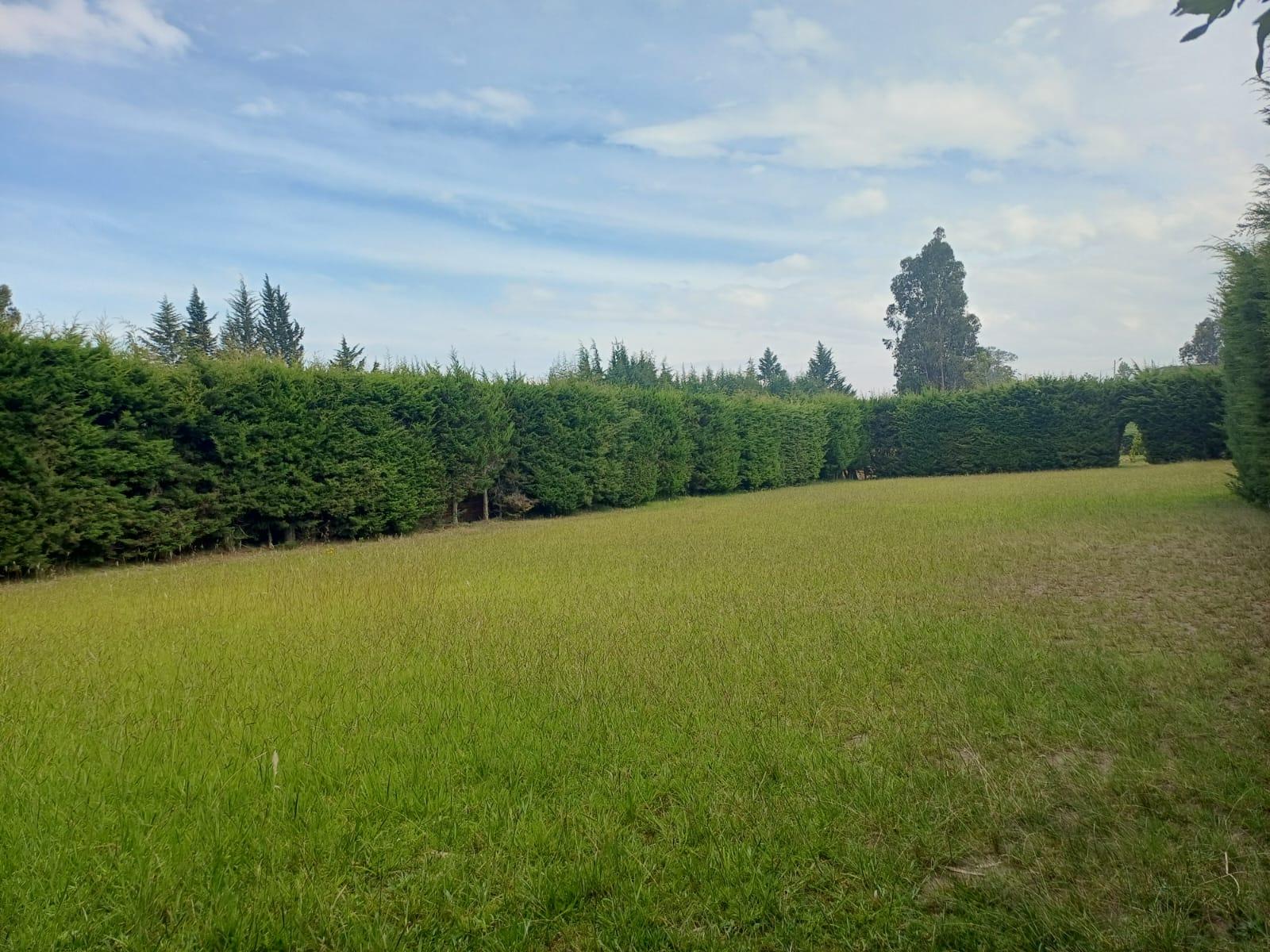 Terreno en venta en Pichincha | Quito | Tumbaco, Calle José Vinueza, La Morita Alta, 1920 m²