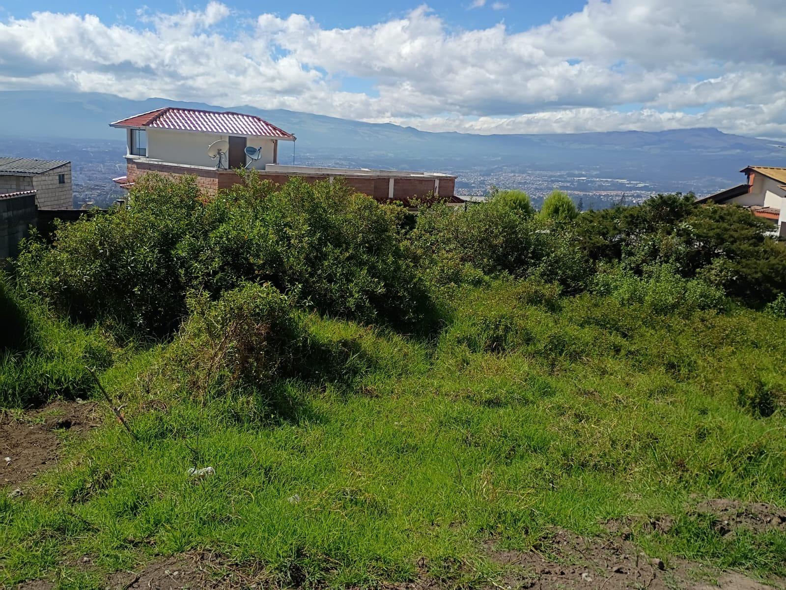 Excellent Land in Conocoto 5