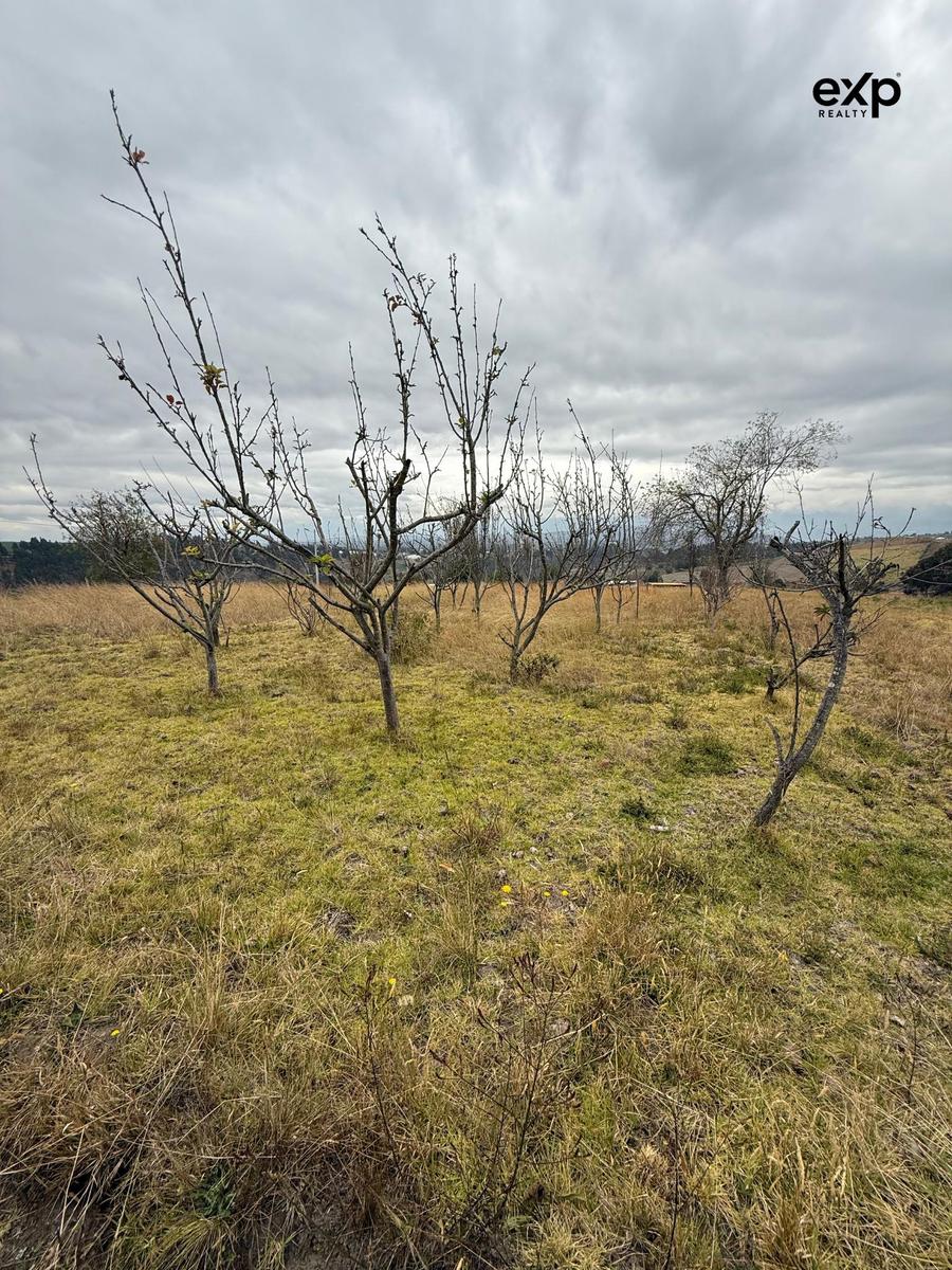LAND FOR SALE IN CUSUBAMBA OF 2.2 HECTARES 5