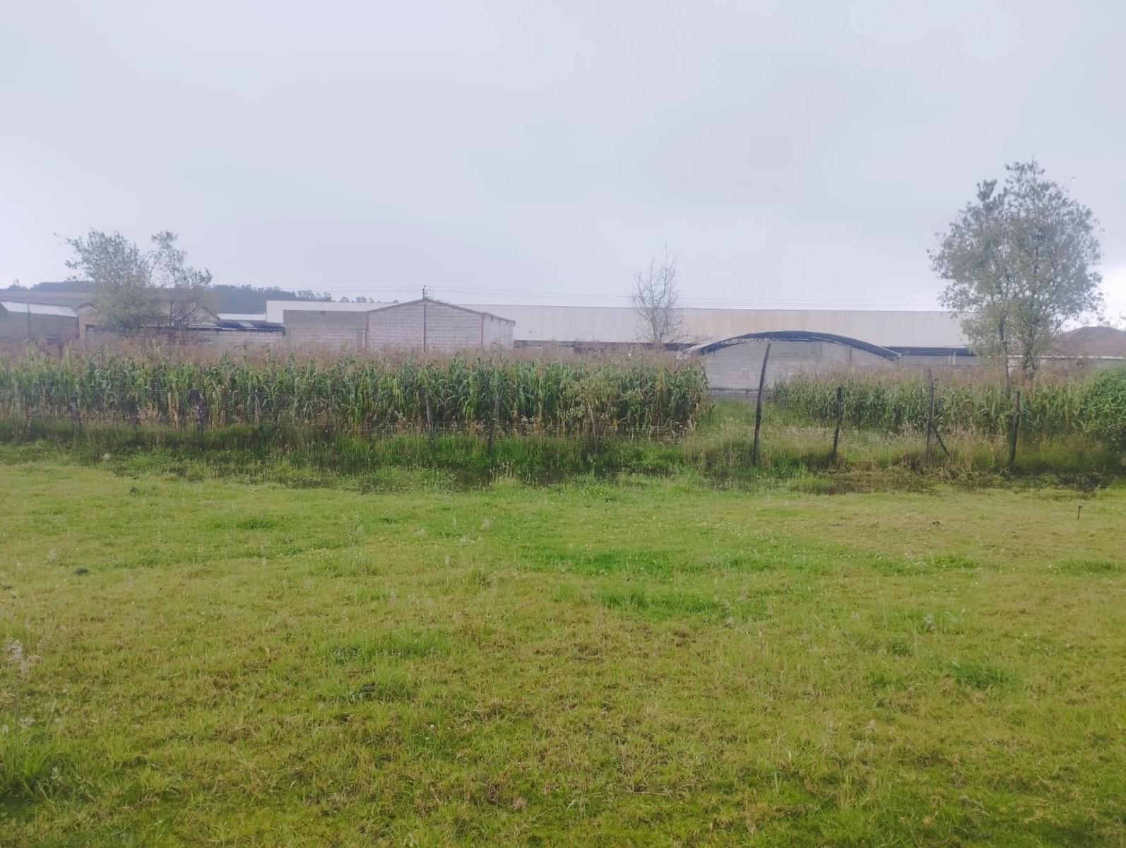 Terreno en venta en Ecuador | Pichincha | Quito, Marta Saenz y Pedro Vicente Maldonado al 3300, 493 m²