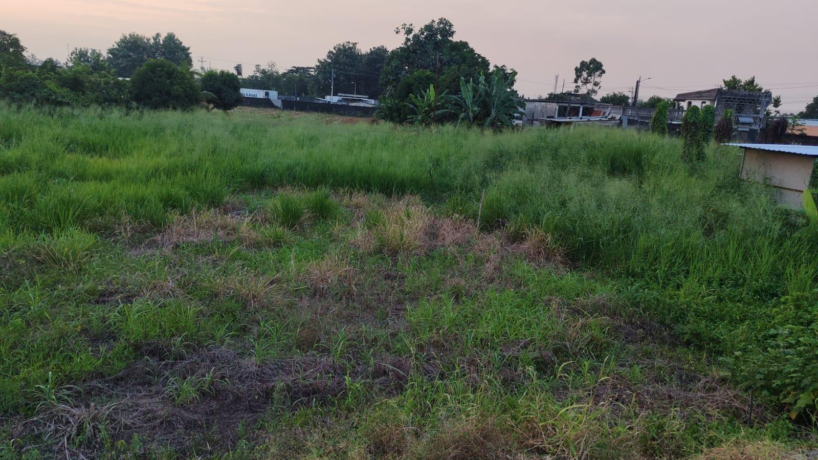 Terreno en venta en Ecuador | Los Ríos | Quevedo, KM 3 VIA VALENCIA A 50 METROS DE LA ESTACION DE SERVICIOS SAN CRISTOBAL