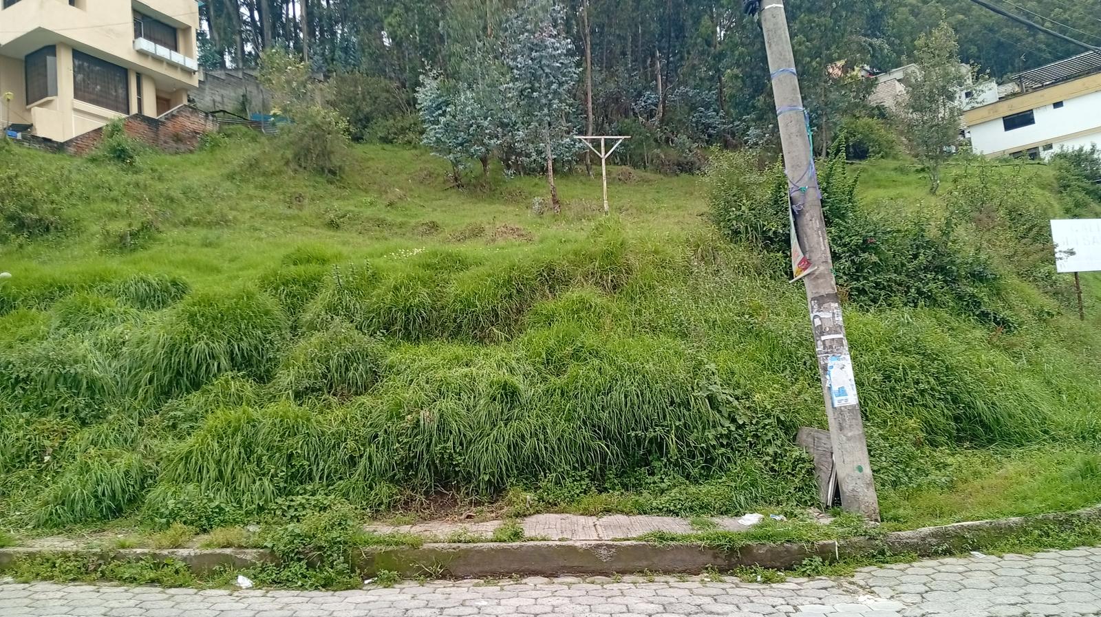 LAND FOR SALE 3