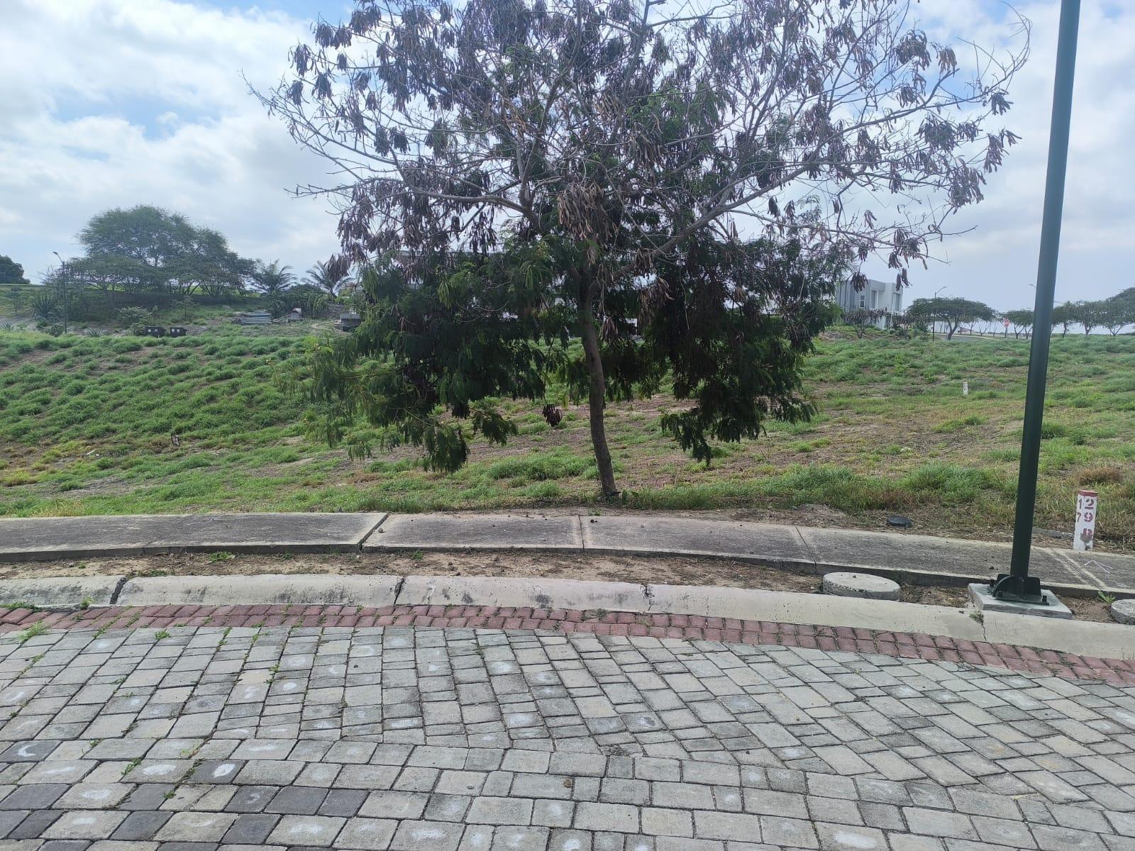 Terreno en venta en Ecuador | Manabí | Montecristi, Km 1,5 via Montecristi-Manta