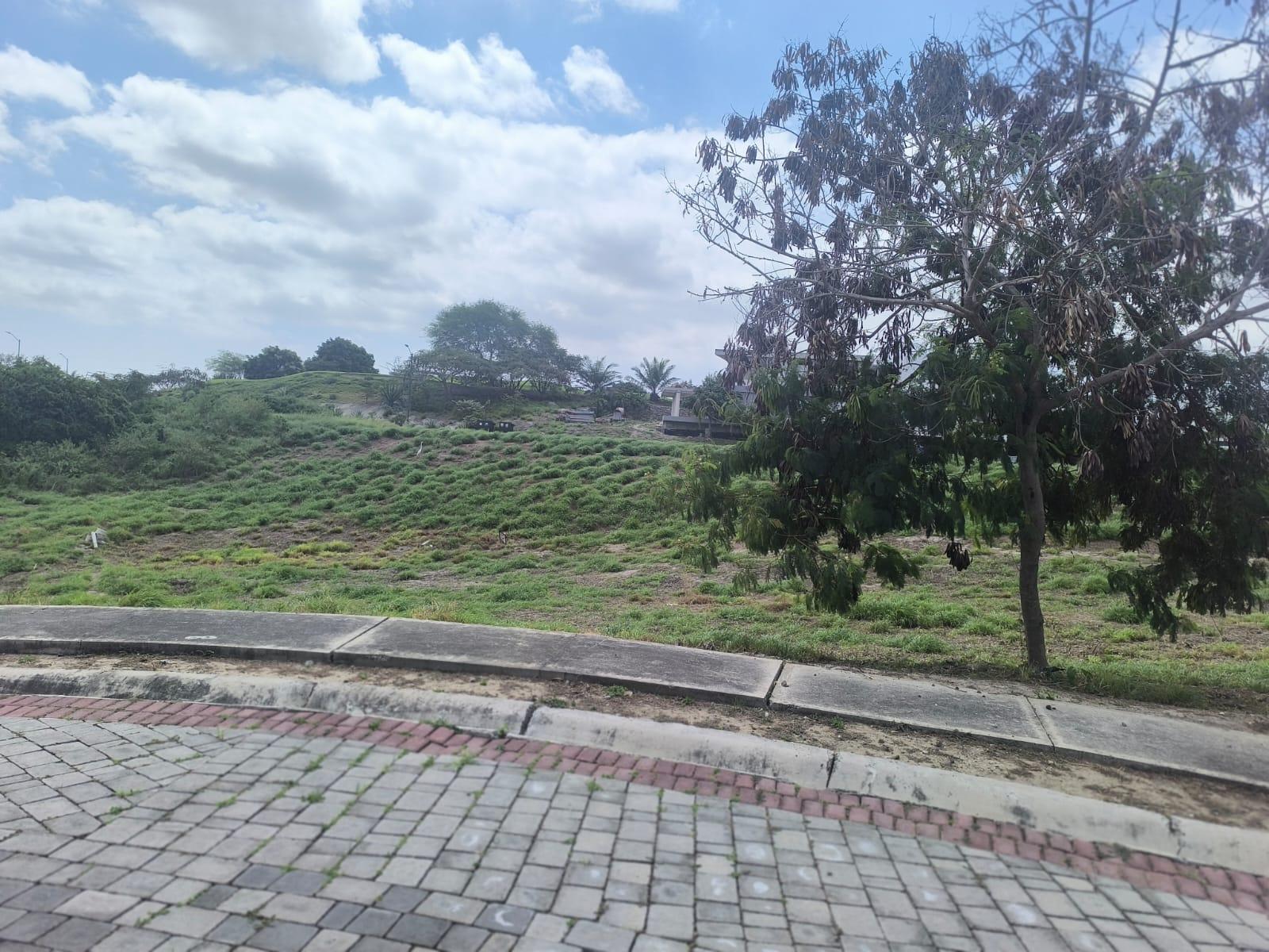 Terreno en venta en Ecuador | Manabí | Montecristi, Km 1,5 via Montecristi-Manta