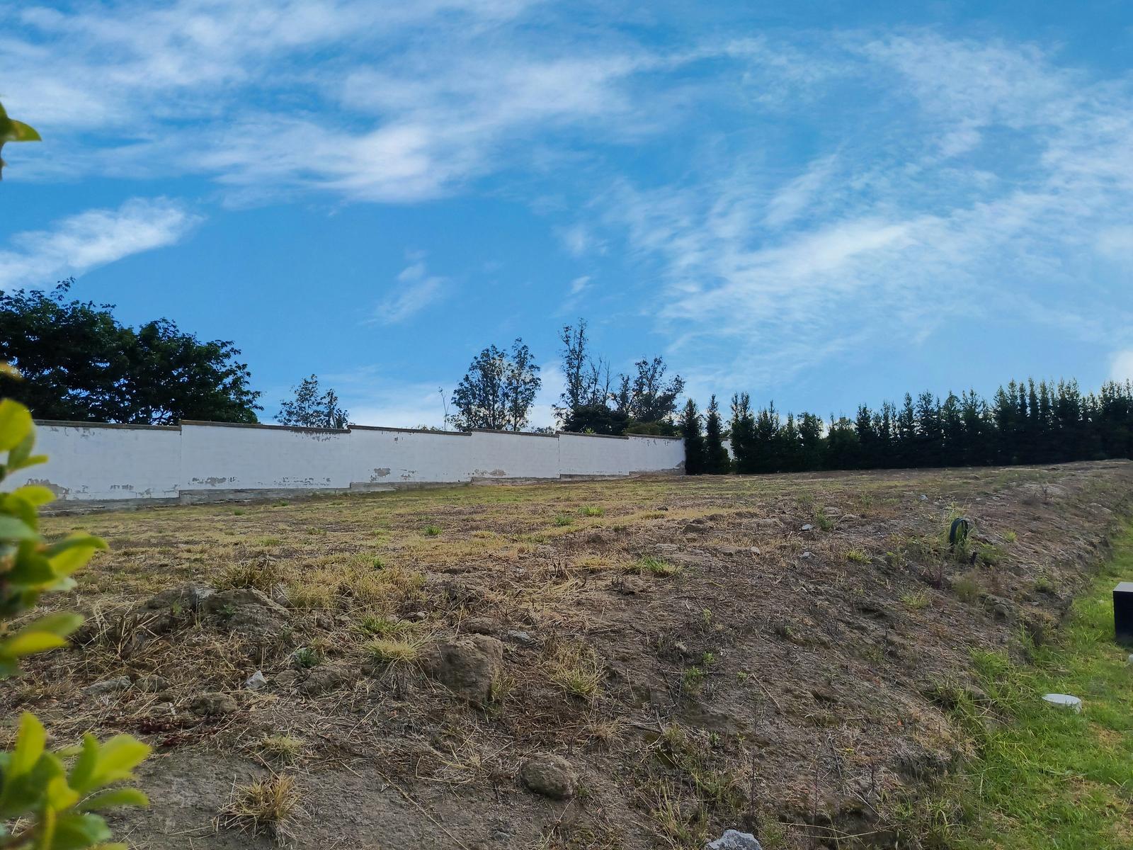 Terreno en venta en Pichincha | Quito | Puembo, Terreno en Venta López Baquero PUEMBO, sector Los Arrayanes