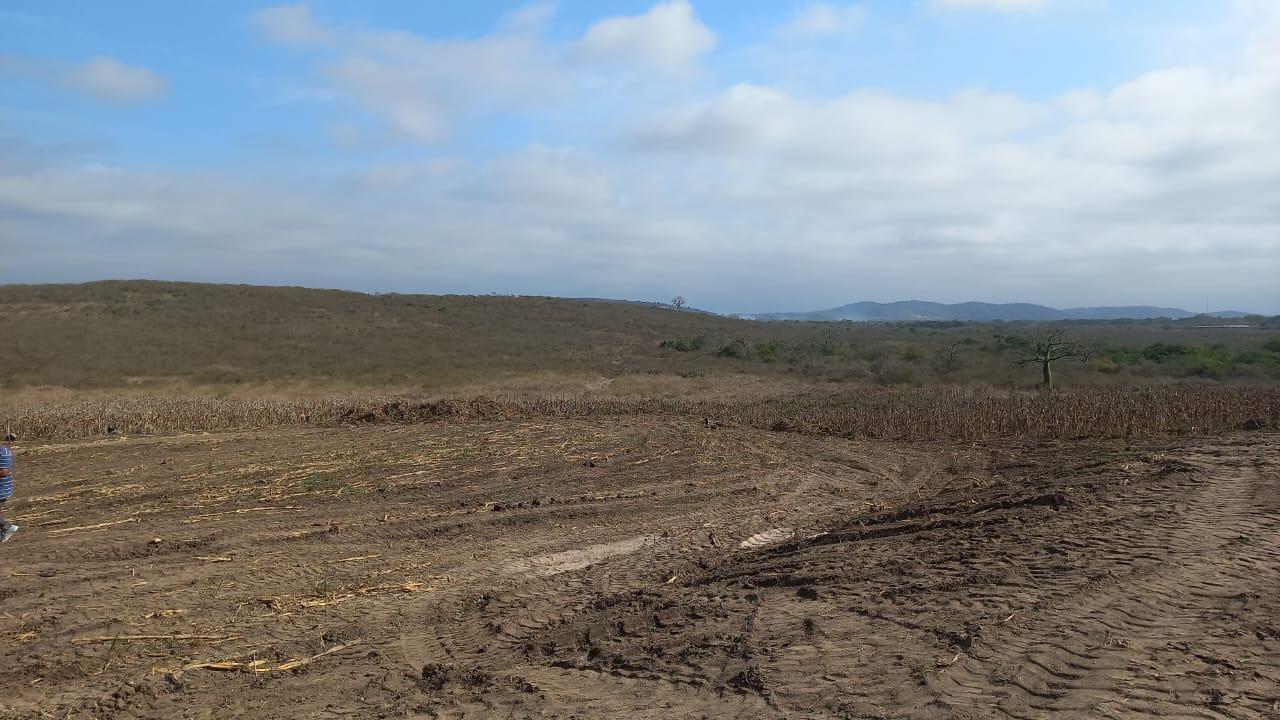 Land for Sale, Los Bajos de Montecristi 5