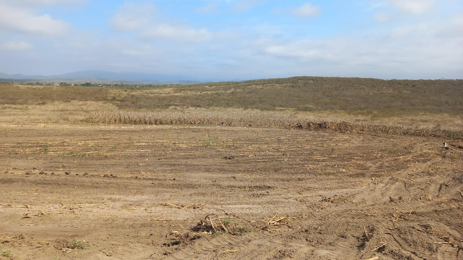 Terreno en venta en Manabí | Montecristi | Sur de Montecristi, Los Bajos Montecristi
