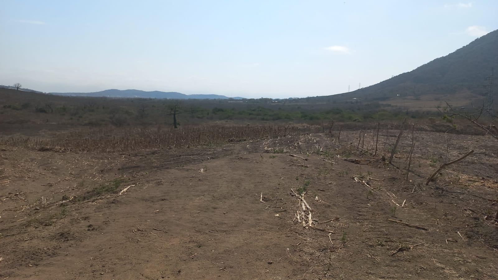 Land for Sale, Los Bajos de Montecristi 4