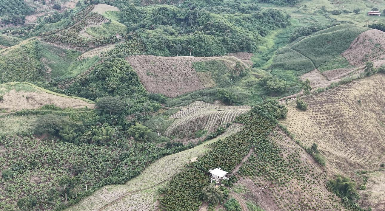Land in Manabí, El Carmen parish Santa Maria. La Bramadora Bombom hacienda. 3
