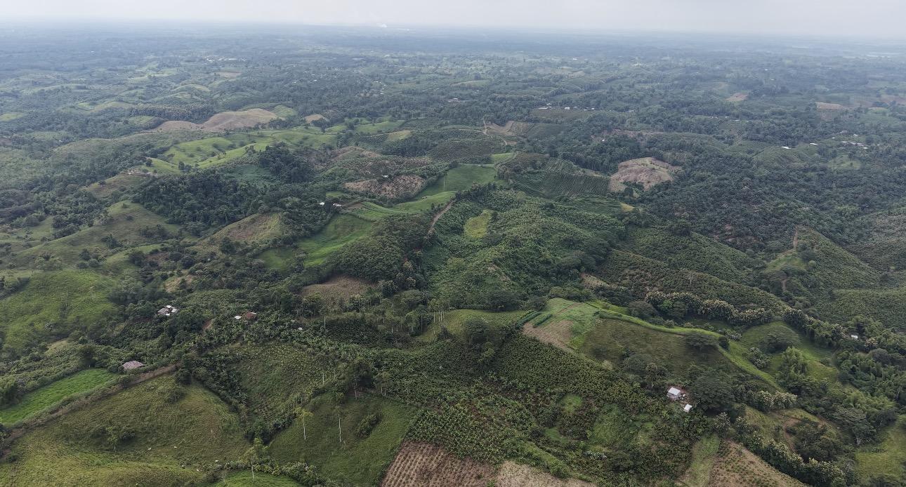 Land in Manabí, El Carmen parish Santa Maria. La Bramadora Bombom hacienda.
