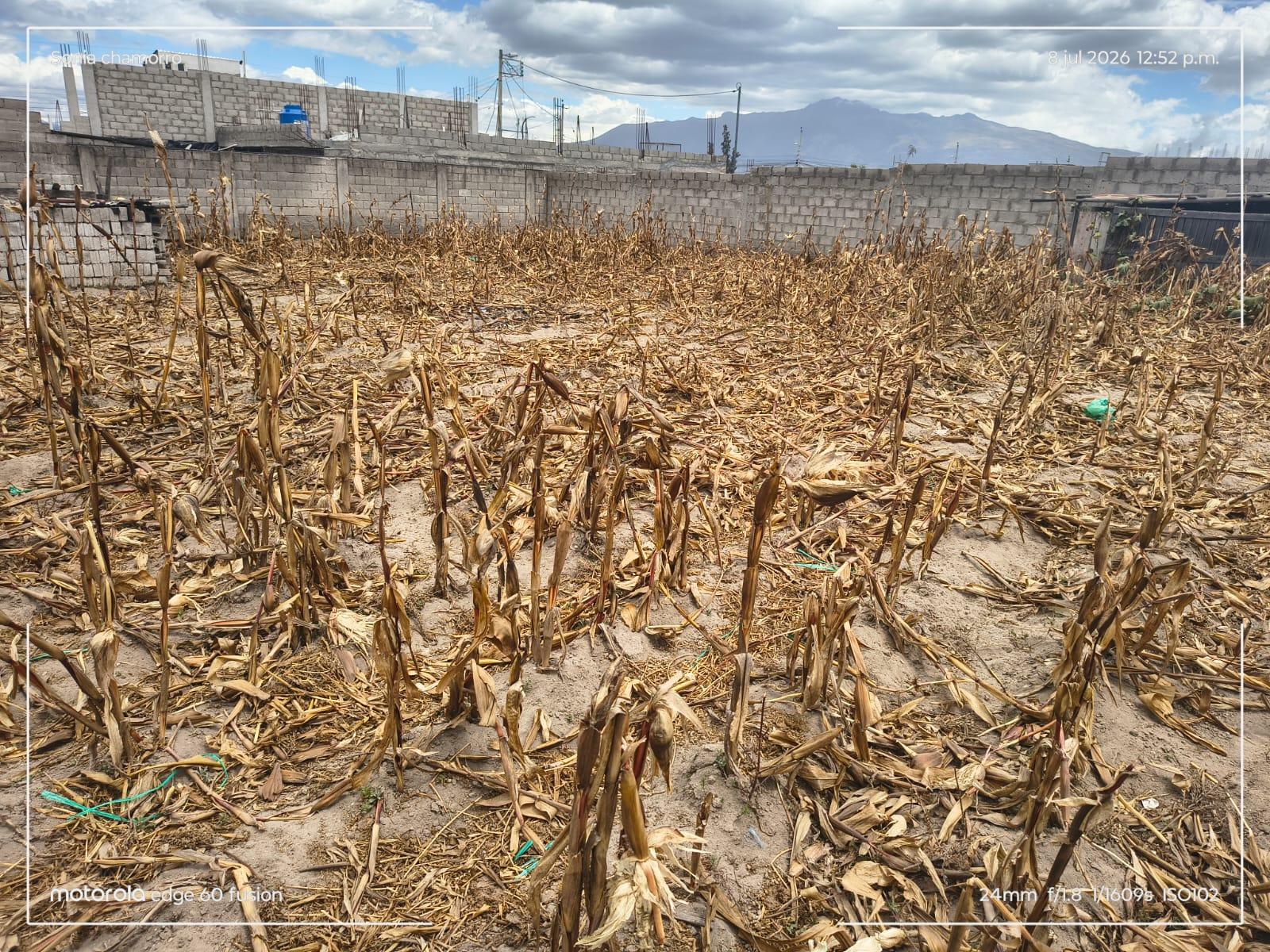 Terreno en venta en Pichincha | Quito | Calderón, roseau calderon