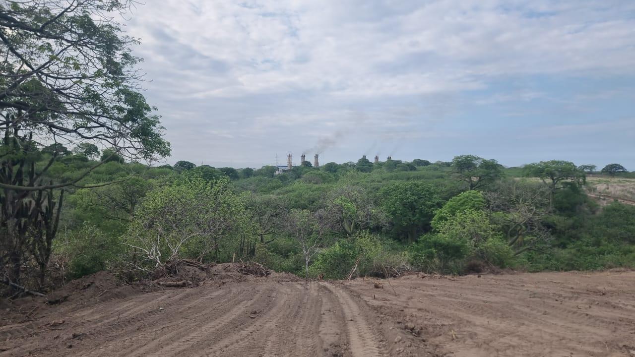 Terreno en venta en Manabí | Jaramijó | Sur de Jaramijo, VIA COLISA - MONTECRISTI
